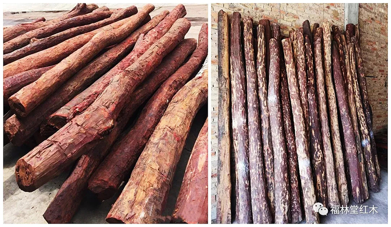 1619423183435524.jpg 20210426_154455_054.jpg